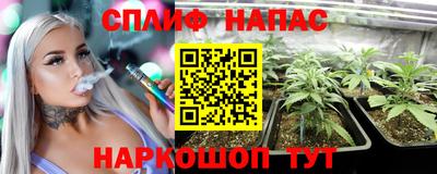 PSILOCYBIN Северобайкальск